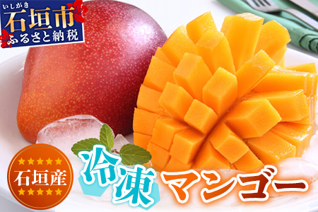 石垣島 冷凍マンゴー 4.5kg 10～16玉【沖縄県 石垣市 産地直送 旬 石垣島産 マンゴー 完熟マンゴー アーウィン種マンゴー フローズン フルーツ 冷凍】HI-12