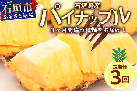 【予約受付】【定期便】石垣島産 パイナップル 3回 定期 3種 計6玉【2026年 5月頃・6月・7月頃お届け】KP-18