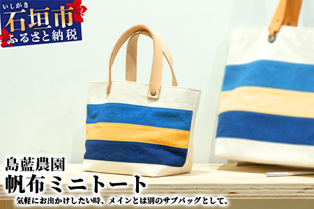 【石垣島の藍染工房】バッグ 帆布 ミニトート KB-172-1