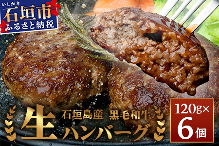 石垣島産　黒毛和牛 生ハンバーグ　120g x 6個 UN-1