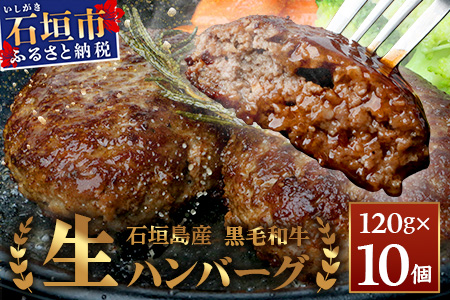石垣島産　黒毛和牛 生ハンバーグ　120g x 10個 UN-2
