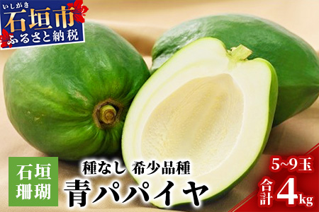 ZH-23 石垣産 青パパイヤ4kg 種なし 希少品種 「 石垣珊瑚 」