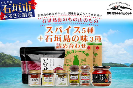 UY-2 石垣島海のもの山のものスパイス&オリジナル詰め合わせセットB