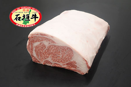 JA石垣牛サーロイン原木ハーフ　I-20