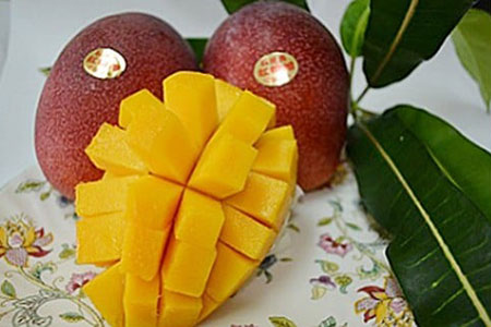 IF-1【2025年発送 予約受付分】マンゴー(アーウィン種) 2～3玉