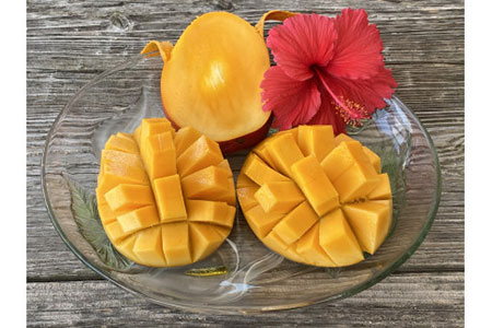 IF-7 マンゴー(アーウィン)・パインセット