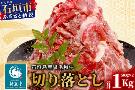 石垣島産 黒毛和牛 新里牛 多用途抜群！ 切落し (500g×2) 合計1kg SZ-12-1