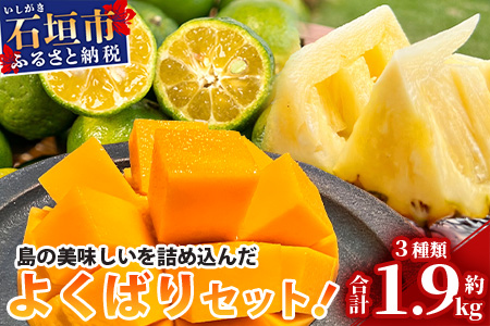 《2024年6月下旬～7月末発送》【先行予約】島の美味しい詰め込んだよくばりセット！ TF-9