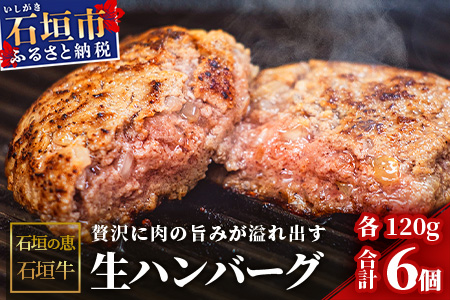 【産地直送】石垣の恵 石垣牛 生ハンバーグ6個【合計720g】【日本最南端の黒毛和牛】KB-101
