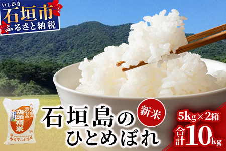 新米 石垣島のひとめぼれ 10kg AE-4-1