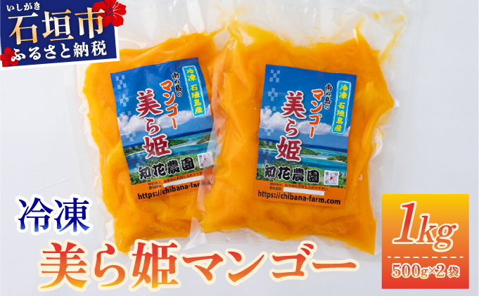 冷凍美ら姫マンゴー 1kg（500g×2袋）CB-3