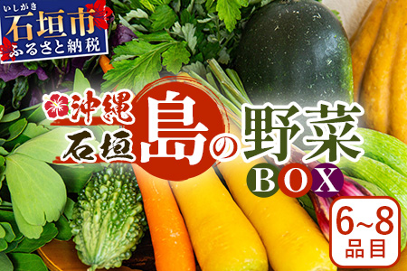 石垣島産 野菜 BOX 1箱 ≪定番・旬の野菜６~８種類≫ 野菜パワーをあなたに！！|野菜セット おまかせセット 旬 季節のお野菜 旬の野菜セット 詰め合わせ 島野菜 沖縄県 石垣市 石垣島 石垣 CK-1 石垣島産 野菜 BOX 1箱