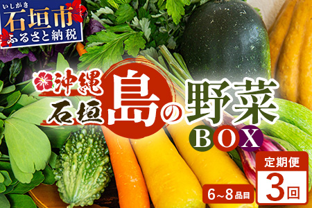 ▼【３回定期便】石垣島産 野菜 BOX ≪定番・旬の野菜 ６~８種類≫（1箱×3回）季節ごとに野菜パワーをあなたに！！｜野菜セット おまかせセット 旬 季節のお野菜 旬の野菜セット 詰め合わせ 定期便 ３回 定番野菜 島野菜 沖縄県 石垣市 石垣島 石垣 CK-2 【３回定期便】