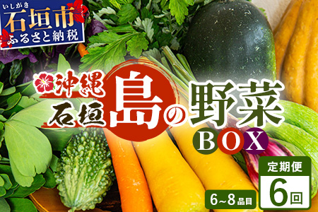 ▼【６回定期便】石垣島産 野菜BOX ≪定番・旬の野菜 ６~８種類≫（1箱×6回）季節の野菜パワーをあなたに！！｜野菜セット おまかせセット 旬 季節のお野菜 旬の野菜セット 詰め合わせ 定期便 ６回 定番野菜 島野菜 沖縄県 石垣市 石垣島 石垣 CK-3 【６回定期便】