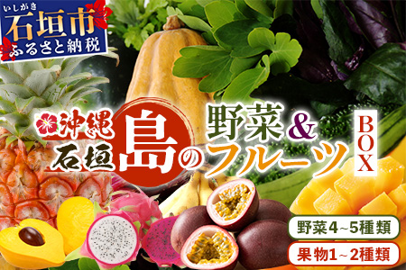沖縄県 石垣島の野菜・フルーツBOX 1箱 ≪野菜4～5種類、フルーツ1~2種類≫ じょーとーまーさん(とても美味しい) 石垣島の野菜とフルーツの詰め合わせセットをお楽しみください！！CK-4 沖縄県 石垣島の野菜・フルーツBOX 1箱