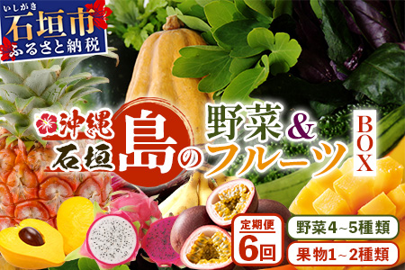 ▼【6回定期便】沖縄県 石垣島の野菜・フルーツBOX ≪野菜4～5種類、フルーツ1~2種類≫（1箱×6回）じょーとーまーさん(とても美味しい) 石垣島の野菜とフルーツの詰め合わせセットをお楽しみください！！CK-6 【6回定期便】