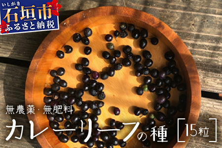 カレーリーフの種　15粒【 沖縄 石垣島 香辛料 種 無農薬 無肥料 】CS-4