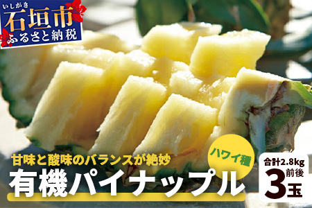 【予約受付】石垣島産 有機パイナップル・ハワイ種 3玉（約2.8kg前後)〈常温〉《7月上旬～順次発送予定》｜パイナップル パインアップル 石垣島パイン フルーツ 果物 くだもの 南国フルーツ 国産パイン　E-39