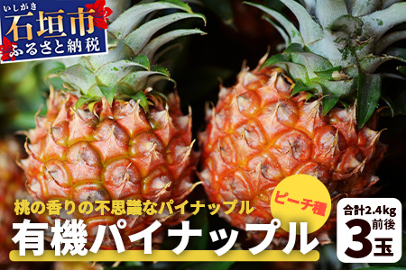【予約受付】石垣島産　有機パイナップル・ピーチ種 3玉（約2.4kg前後）〈常温〉《６月上旬～順次発送予定》｜パイナップル パインアップル 石垣島パイン フルーツ 果物 くだもの 南国フルーツ 国産パイン　E-40