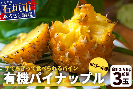 【予約受付】石垣島産　有機パイナップル・ボゴール種 3玉（約2.8kg前後）〈常温〉《６月上旬～順次発送予定》｜パイナップル パインアップル 石垣島パイン フルーツ 果物 くだもの 南国フルーツ 国産パイン　E-41