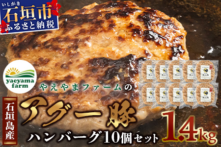 石垣島産 やえやまファームのアグ―豚（南ぬ豚）ハンバーグ10個セット E-8-1