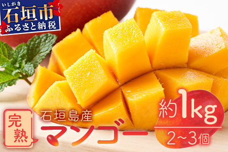 【予約受付】石垣島産　完熟マンゴー１ｋｇ（アーウィン種） 《2025年6月中旬から7月下旬順次発送》｜ ふるさと納税 マンゴー フルーツ 沖縄県 石垣市 FF-1