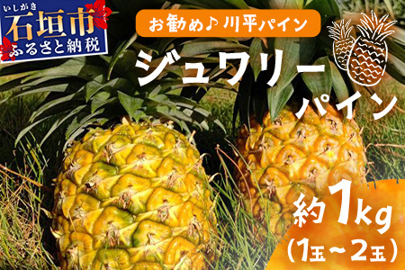 【先行予約】ジュワリーパイン1ｋｇ（1～2玉）お勧め♪川平パイン《2026年7月～8月頃順次発送》KN-1