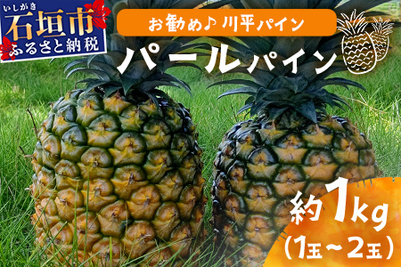 【先行予約】パールパイン1ｋｇ（1～2玉）お勧め♪川平パイン《2026年7月～8月頃順次発送》KN-2