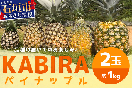 【予約受付】【KABIRAパイナップル2玉1kg以上】♪品種は届いてのお楽しみ♪《2025年5月以降順次発送》MF-1