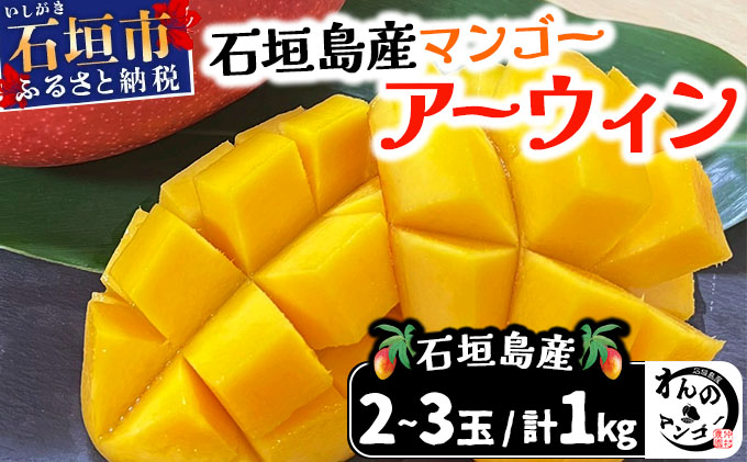 ＜わんのマンゴー＞石垣島産マンゴー【アーウィン】 合計1kg NA-03