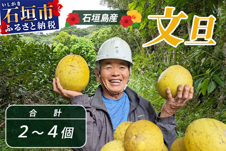 文旦（２～４個）農薬を使わず、森のような畑で栽培する特別な果物 ＜10月～3月順次発送＞OI-19-2