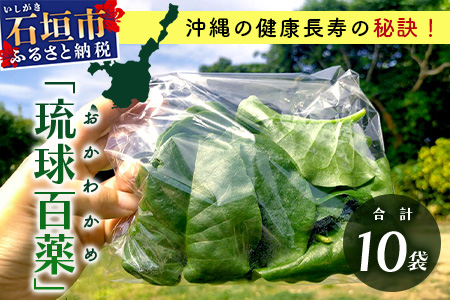 ＜先行予約＞2026年2月順次発送／沖縄の健康長寿の秘訣「琉球百薬（おかわかめ）」10袋！農薬を使わない栽培方法を続けるミネイさんの野菜 OI-25