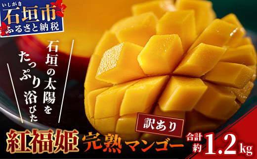 訳あり【2026年発送 予約受付分】「紅福姫ブランド」石垣島のマンゴー 約1.2kg OT-01