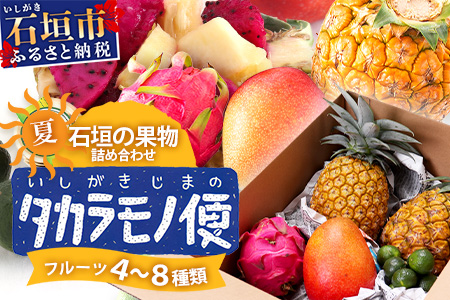 《2026年夏に順次発送予定》石垣島の夏「果物」詰め合わせ～夏のタカラモノ果物便～【 産地直送 沖縄 石垣 石垣島 くだもの トロピカルフルーツ 果物 南国 フルーツ 詰め合わせ フルーツ便 】SH-5