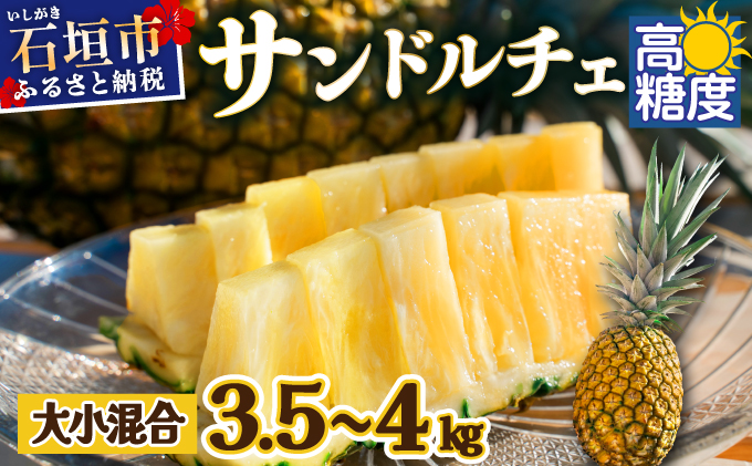 【先行予約】《2025年夏季 順次発送》【訳あり】石垣島産 サンドルチェパイン 約3.5～4kg【甘さ最高パインの「訳あり」の大小混合セット】SI-28