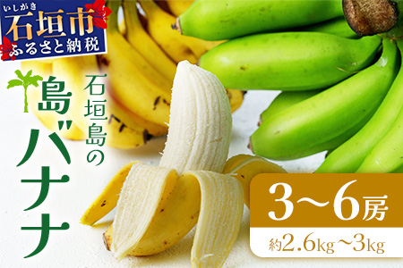 ＜先行予約＞石垣島の島バナナ、3～6房（約2,6～3kg前後入り）《4月中旬～順次発送》爽やか酸味のスッキリ系バナナ、少し冷やしてもイイんです！　SI-34