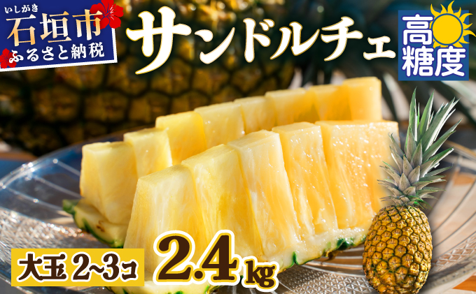 【先行予約】《2025年夏季 順次発送》サンドルチェ大玉2～3個 計2.4kg　SI-41