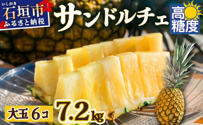 【先行予約】《2025年夏季 順次発送》サンドルチェ大玉6個 計7.2kg　SI-43