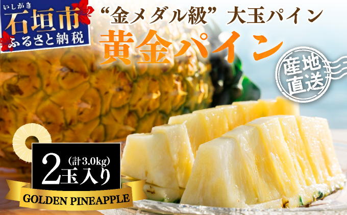 【先行予約】《2025年夏季 順次発送》黄金パイン大玉２個入 計3.0kg SI-51