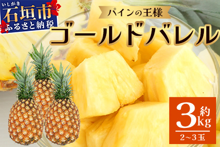 【2026年6月上旬より順次発送予定】最高級パイン ゴールドバレル2~3玉セット TD-1-1