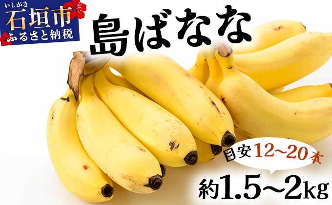 【先行予約 2026年5〜10月順次発送】バナナ好きに届けたい！！完全無農薬栽培 もっちり食感がやみつきの希少な国産『プレミアム島ばなな』贅沢に1房丸ごと約1.5-2kgお届け！！