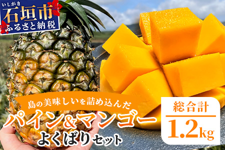 《2026年6月中旬以降発送》島の美味しいを詰め込んだ、パイン＆マンゴーのよくばりセット！【 沖縄県 石垣市 石垣島 完熟 パイン パイナップル スナック マンゴー セット 詰め合わせ 産地直送 】TF-24_R8