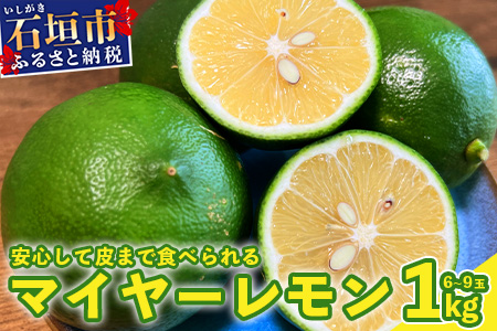 【先行予約】≪2026年8月以降順次発送≫ こだわりの青切りマイヤーレモン 約1kg（6～9個）【 沖縄 石垣 数量限定 フルーツ レモン マイヤー メイヤー 】TF-026 約1kg (6～9個)