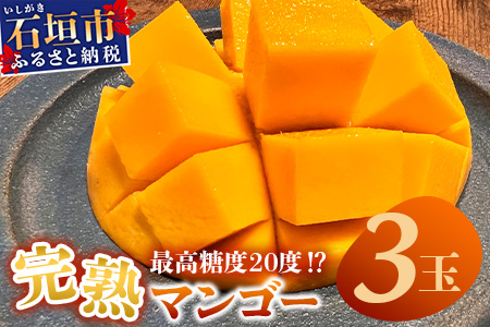 《2026年6月下旬～7月発送》【先行予約】最高糖度20度！？ 完熟！3Lサイズ 石垣島マンゴー 3玉入り【 沖縄 石垣島 石垣 八重山 マンゴー 完熟 期間限定 数量限定 沖縄県 石垣島産 】TF-28_R8