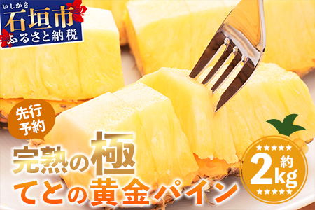 《2025年5月中旬以降順次発送》【先行予約】香りに溺れる！？ 完熟の極 てとの黄金パイン大玉約2kg【 沖縄 石垣 ゴールデン パイン パイナップル 完熟 セット フルーツ デザート 】 TF-31