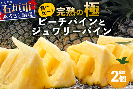《2026年5月～7月順次発送》【先行予約】最高糖度20度以上！？ 完熟の極 石垣島産ピーチパインとジュワリーパインの食べ比べセット【 沖縄 石垣 ジュワリー ピーチ パイン パイナップル 完熟 セット フルーツ デザート 食べ比べ 】 TF-32_R8