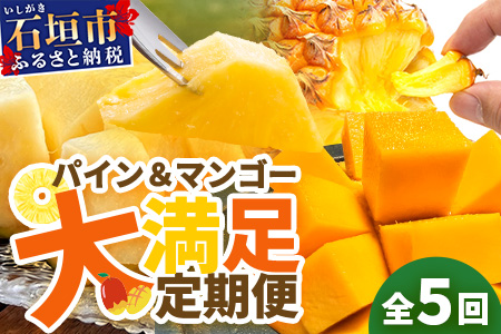 《2025年4月以降発送》【先行予約】島のおいしいを贅沢に！パイナップル3種とマンゴー2種のよくばり定期便【 沖縄 石垣 ピーチ キーツ マンゴー パイン パイナップル 完熟 セット フルーツ デザート 食べ比べ 定期便 】 TF-39