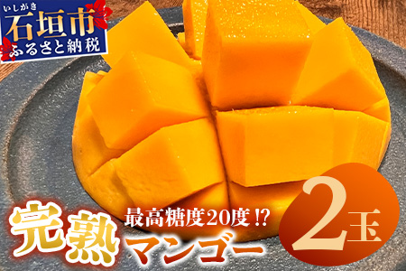 《2026年6月下旬～7月下旬発送》【先行予約】最高糖度20度！？ 完熟！3Lサイズ 石垣島マンゴー 2玉約900g【 沖縄 石垣島 石垣 八重山 マンゴー 完熟マンゴー 期間限定 数量限定 】TF-5-1_R8
