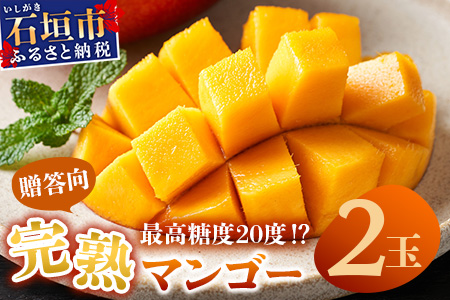 《2026年6月下旬～7月下旬発送》【先行予約】「マンゴー」最高糖度20度！？ 完熟の極！石垣島マンゴー 2玉約900g【贈答向け】【 沖縄 石垣島 石垣 八重山 マンゴー 完熟マンゴー 期間限定 数量限定 贈答 】TF-6-1_R8