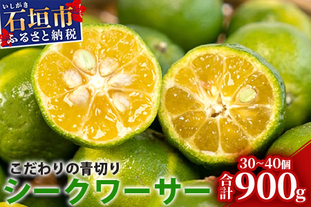 【先行予約】 ≪2026年8月以降順次発送≫こだわりの青切りシークワーサー 900g 約30～40個 【 産地直送 沖縄 石垣島 石垣 八重山 シークワーサー 柑橘 フルーツ くだもの 果物 】TF-007 900g 約30～40個